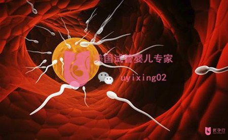 生命的誕生如此神奇｜較新美國試管嬰兒過程詳解