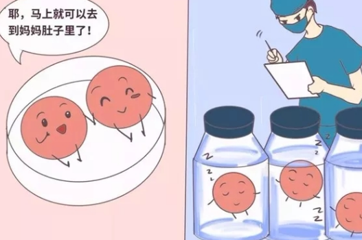 促排卵會使女性提前的衰老嗎