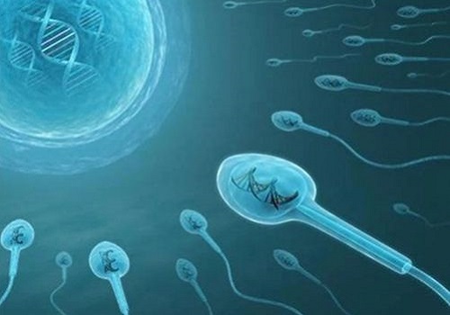 美國試管嬰兒醫院那家好?排名怎么樣?
