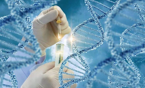 2023年泰國十大試管醫院排名是怎么樣的?附泰國試管醫院推薦!