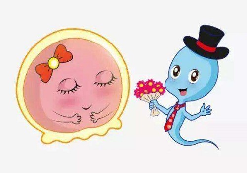 美國做一個試管嬰兒明細(xì)多少錢?